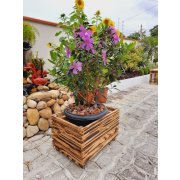 Floreira Retangular 55x40 De Madeira Maciça Bv Magazine